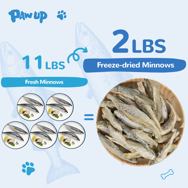 Freeze-Dried Minnows Treats for Dogs & Cats, Omega-3 Rich Single-Ingredient Snacks, 2.8 oz Main Image