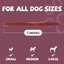 PAWUP Duck Jerky Strips Dog Treats, Natural Healthy, 99% Duck Breast with Taurine, High Protein Training Treats for Small Medium Large Dogs, 10.6oz - Pawup