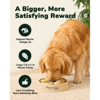PAWUP Dog Treats, Freeze Dried Green-Lipped Mussels, Large Whole Mussels, 3.5 oz