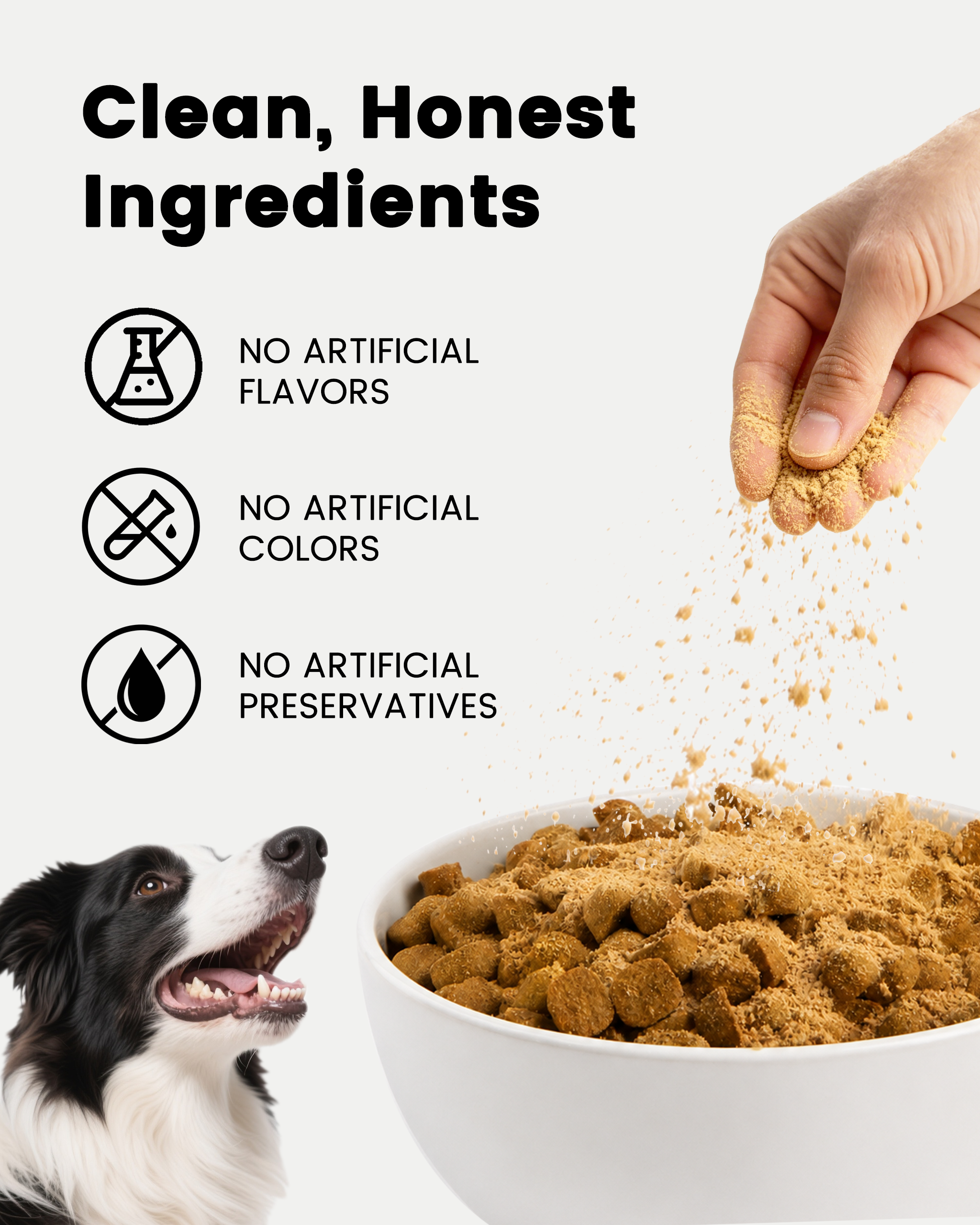 PAWUP Freeze Dried Duck Dog Treats & Food Topper, Single Animal Protein Limited Ingredient, High Protein Grain Free for Picky Eaters, No Artificial Flavors, Colors or Artificial Preservatives-14 oz - Pawup