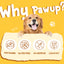 Chicken Jerky Strip Dog Treats, Rawhide-Free Training Snacks for Dogs, 24 oz - Pawup