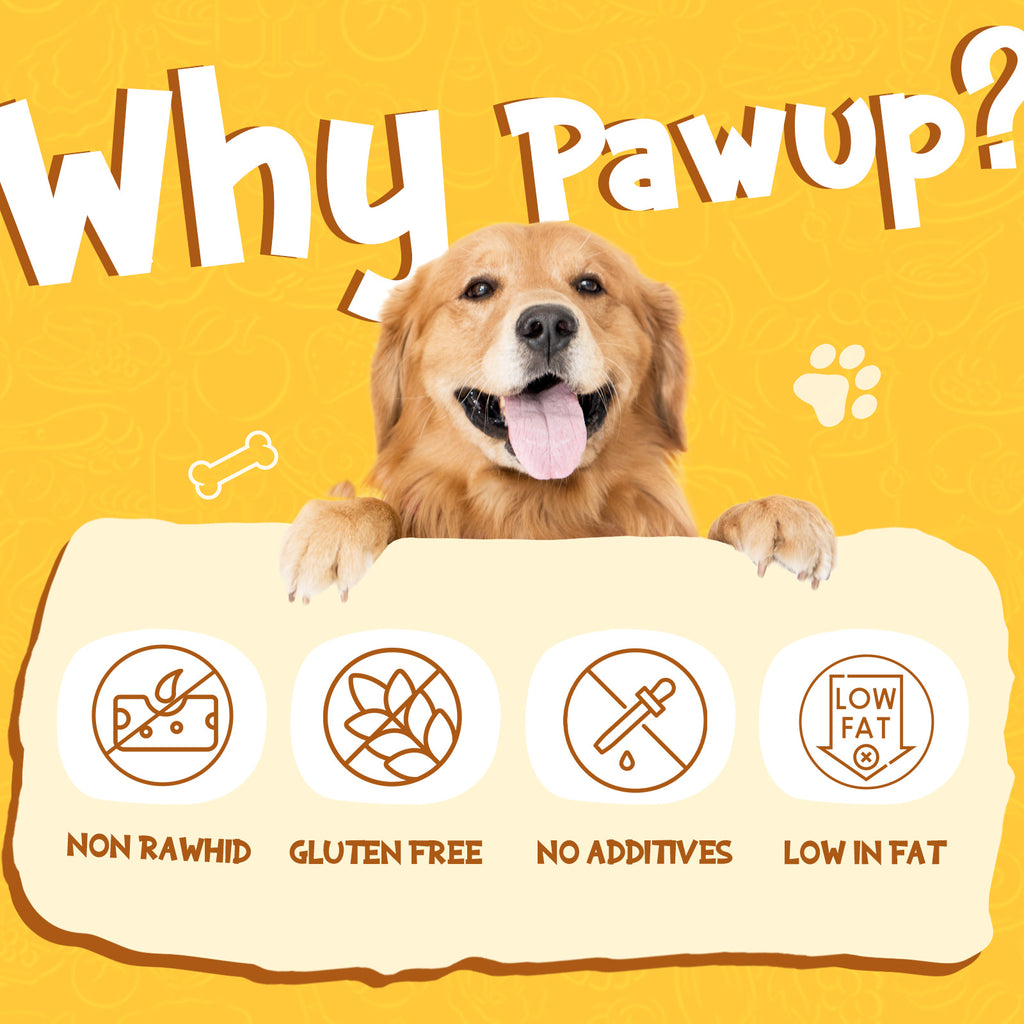 Chicken Jerky Strip Dog Treats, Rawhide-Free Training Snacks for Dogs, 24 oz - Pawup