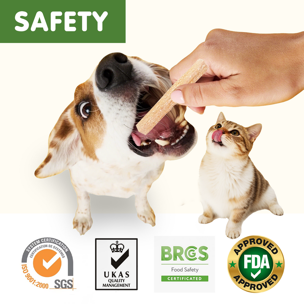 PAWUP Dog Treats Cheese Beef Dental Chews for Small, Medium & Large Dogs, 12.4 oz Bag