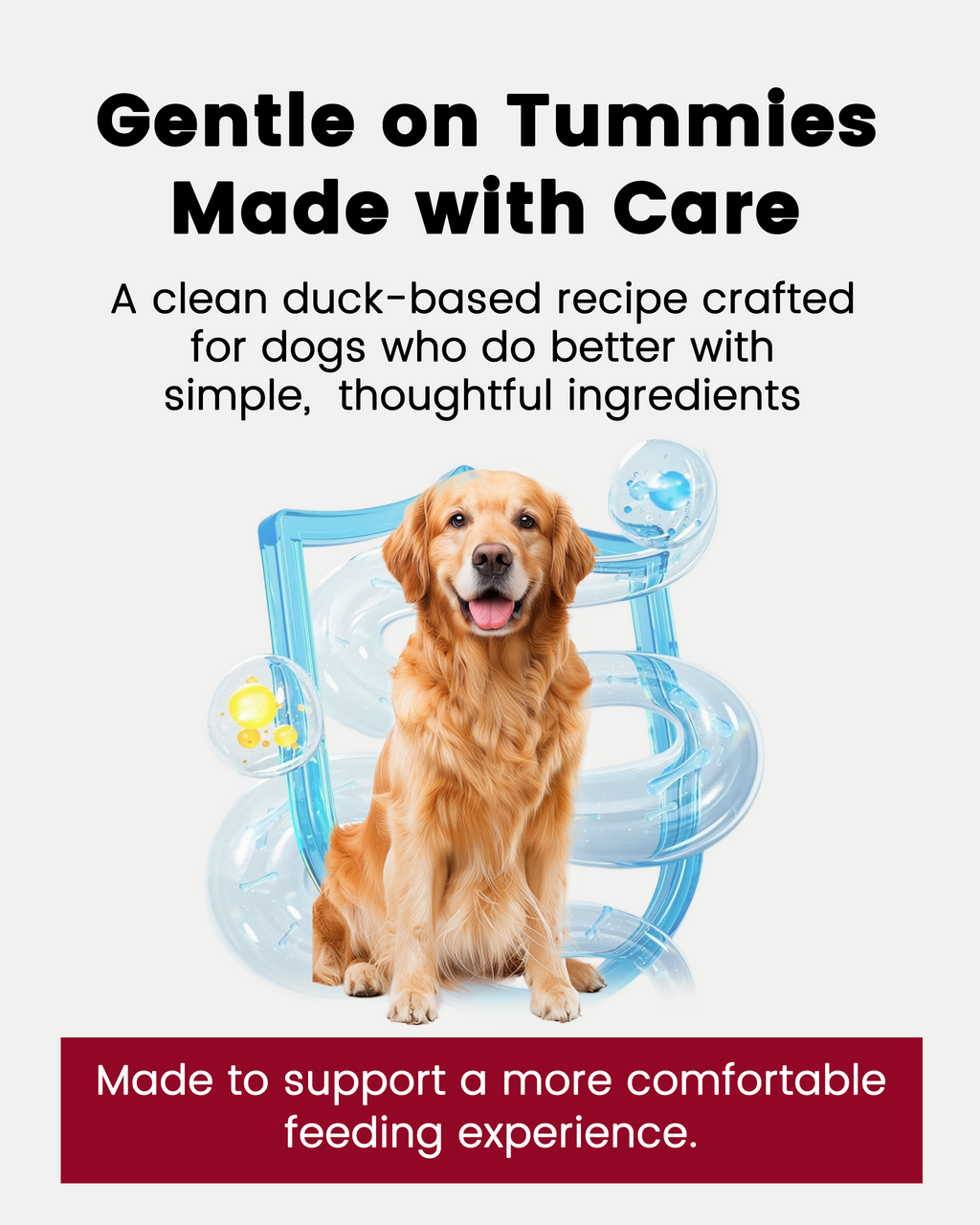 PAWUP Freeze Dried Duck Dog Treats & Food Topper, Single Animal Protein Limited Ingredient, High Protein Grain Free for Picky Eaters, No Artificial Flavors, Colors or Artificial Preservatives-14 oz - Pawup