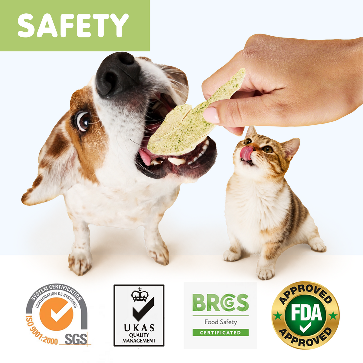 PAWUP Freeze Dried Dog Treats Chicken Breast Slices with Kale for Small, Medium & Large Dogs & Cats, 3.2 oz