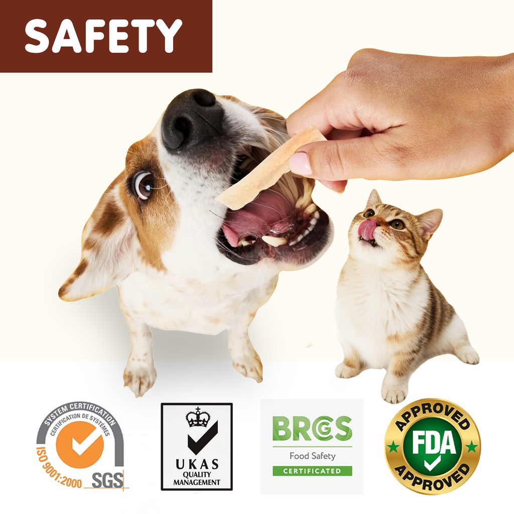 PAWUP Chicken Jerky Dog & Cat Treats, High Protein Treats for Small Medium Large Dogs & Cats, 10.6oz
