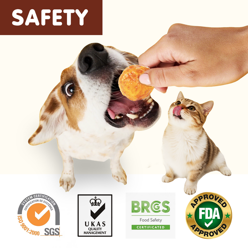 PAWUP Chicken Natural Dog Treats, Popcorn-Inspired Crunchy Bites, Healthy Reward or Training Treat for Small, Medium and Large Dog, 2.5oz