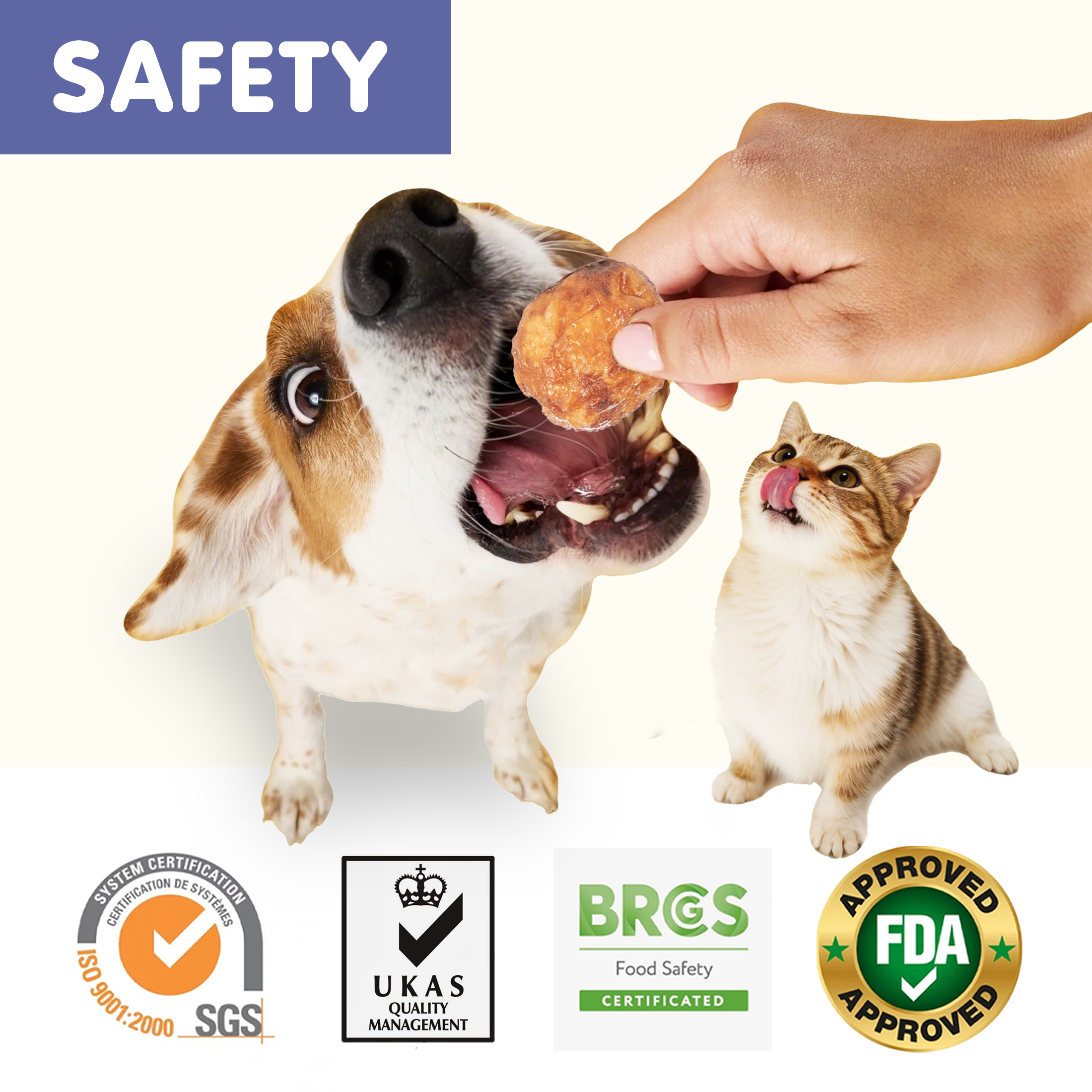 PAWUP Duck Natural Dog Treats, Popcorn-Inspired Crunchy Bites, Healthy Reward or Training Treat for Picky Eaters, Small Medium Large Dog, 2.5oz