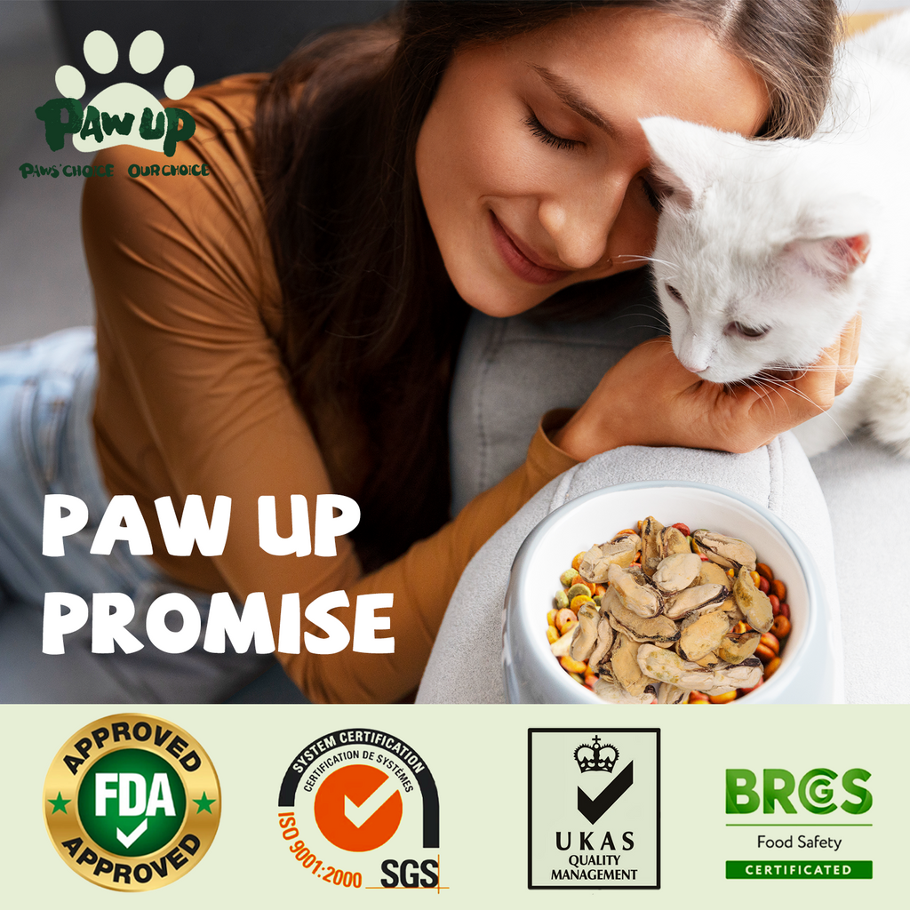 Freeze Dried Green Lipped Mussels for Dogs, Joint & Hip Health, 3.5 oz - Pawup
