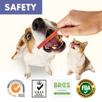 PAWUP Duck Jerky Strips Dog Treats, Natural Healthy, 99% Duck Breast with Taurine, High Protein Training Treats for Small Medium Large Dogs, 10.6oz - Pawup