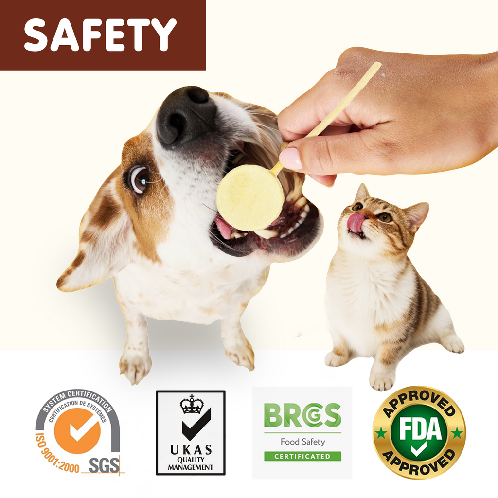 PAWUP Dog Treat Freeze-Dried Chicken & Pumpkin Lollipops with Rawhide, Dental Chew & High Protein Training Treats for Small, Medium & Large Dogs, 1.5 oz 5 Counts - Pawup