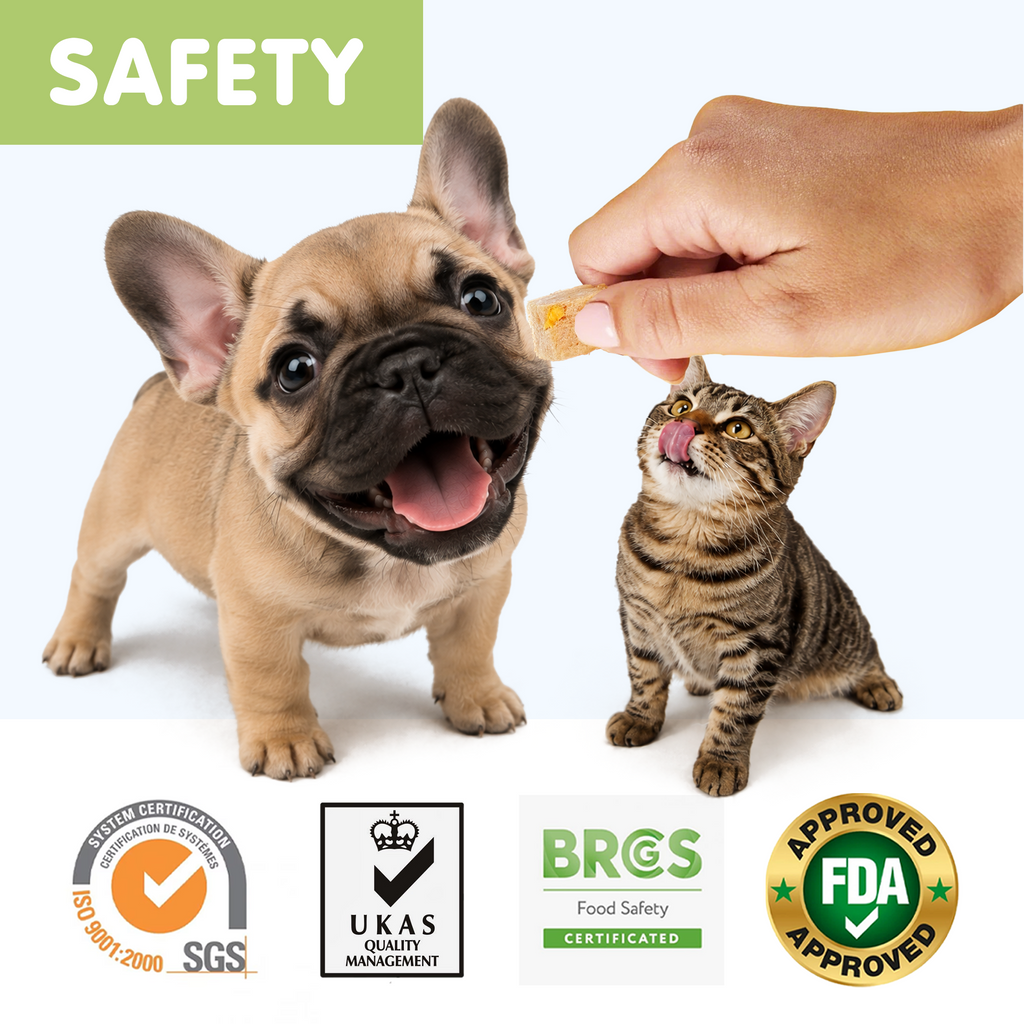 PAWUP Freeze Dried Dog Treats, Real Chicken with Pumpkin & Broccoli, High Protein Crunchy Training Snack for Small Medium Large Dogs, 3.6 oz Bag