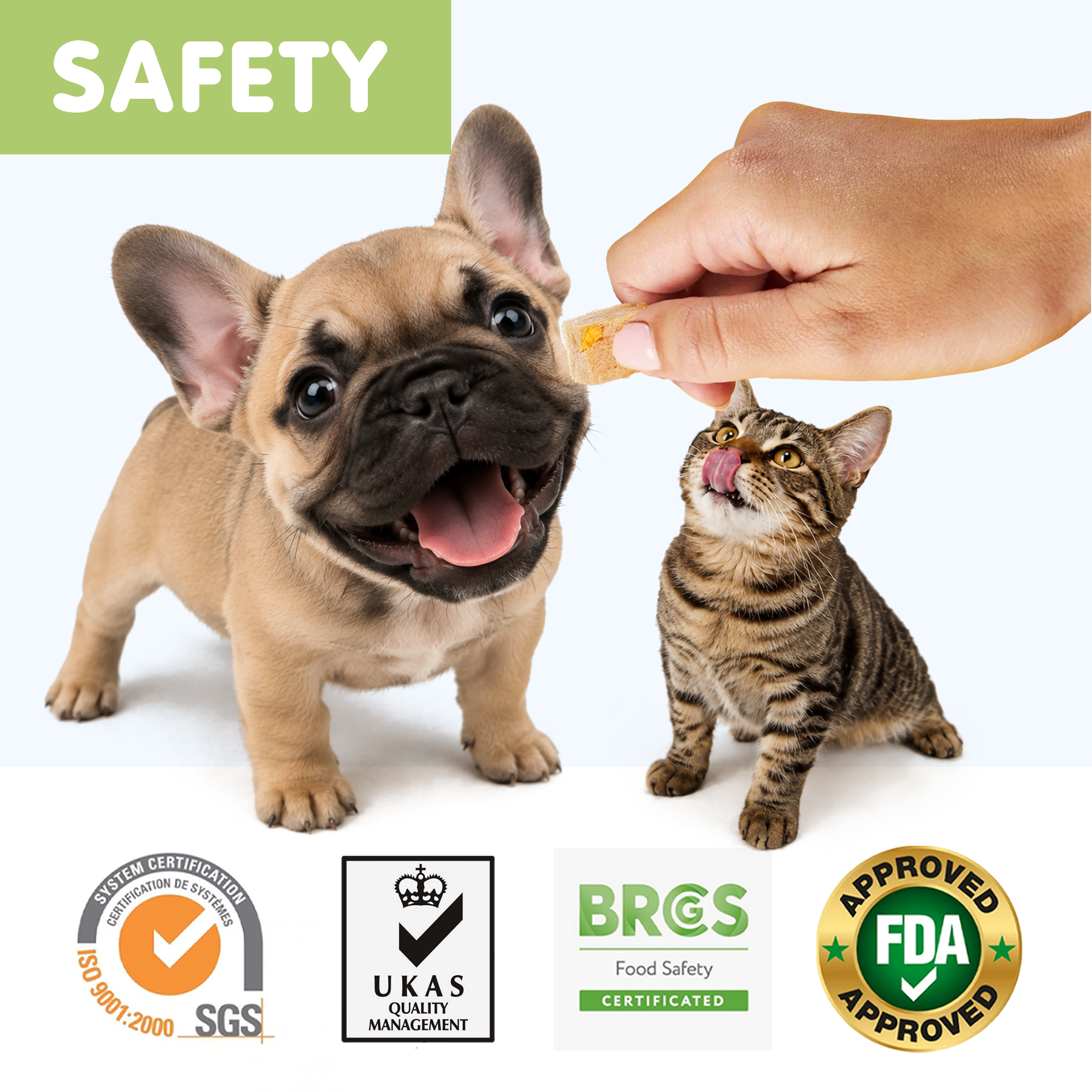 PAWUP Freeze Dried Dog Treats, Real Chicken with Pumpkin & Broccoli, High Protein Crunchy Training Snack for Small Medium Large Dogs, 3.6 oz Bag