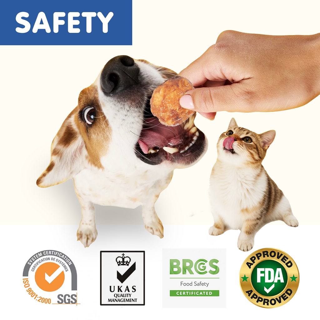 PAWUP Cod Natural Dog Treats, Popcorn-Inspired Crunchy Bites, Healthy Reward or Training Treat for Skin & Coat Health, Small Medium Large Dog, 2.5oz