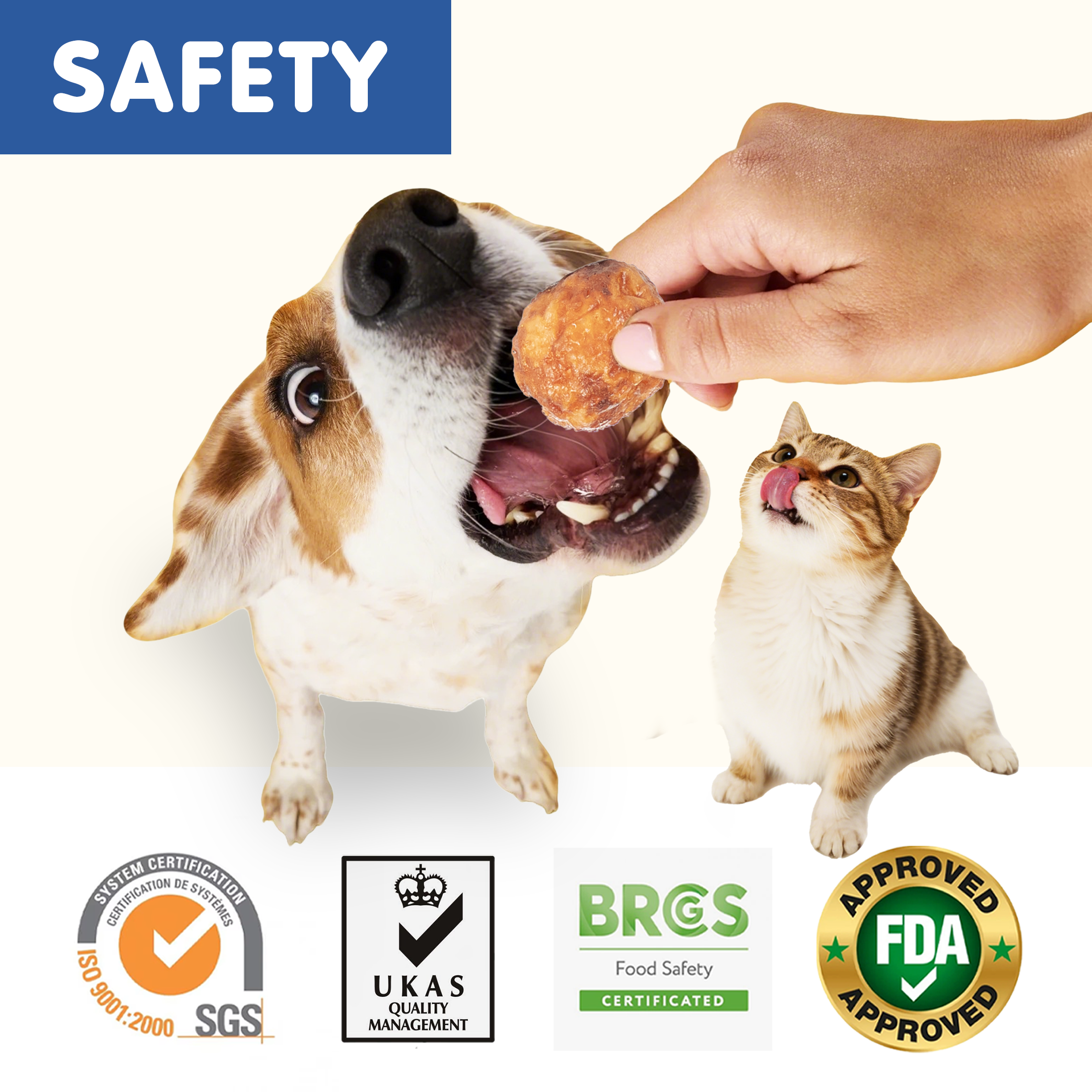 PAWUP Cod Natural Dog Treats, Popcorn-Inspired Crunchy Bites, Healthy Reward or Training Treat for Skin & Coat Health, Small Medium Large Dog, 2.5oz