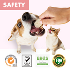 PAWUP Freeze Dried Dog Treats, Real Rabbit Bites, Single Protein Snack for Small, Medium & Large Dogs, 2.5 oz Bag - Pawup