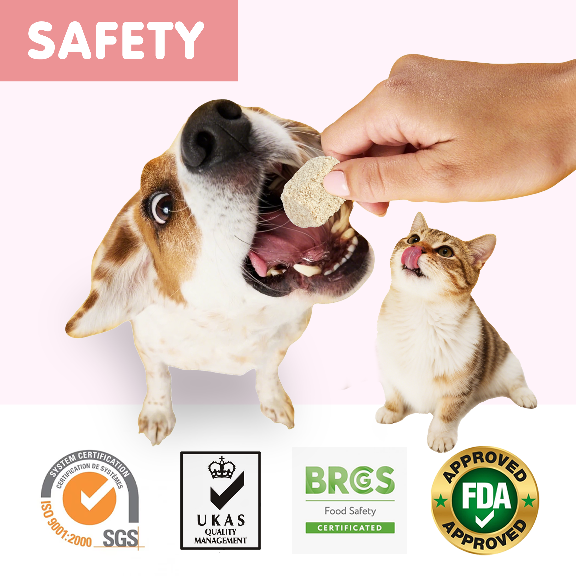 PAWUP Freeze Dried Dog Treats, Real Rabbit Bites, Single Protein Snack for Small, Medium & Large Dogs, 2.5 oz Bag - Pawup