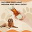 Chicken Rawhide Bone Dog Treats, Long-Lasting Dental Chews for Dogs, 9 oz - Pawup