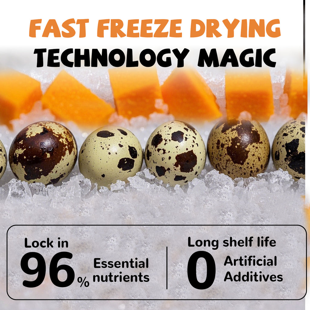 Freeze Dried Quail Egg Yolk Treats for Cats & Dogs, Coat & Urinary Health, 3.5 oz - Pawup