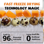 Freeze Dried Quail Egg Yolk Treats for Cats & Dogs, Coat & Urinary Health, 3.5 oz - Pawup