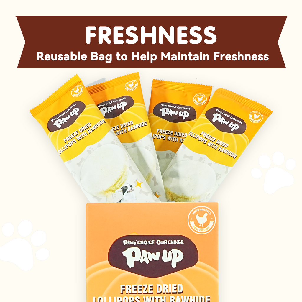PAWUP Dog Treat Freeze-Dried Chicken & Pumpkin Lollipops with Rawhide, Dental Chew & High Protein Training Treats for Small, Medium & Large Dogs, 1.5 oz 5 Counts - Pawup
