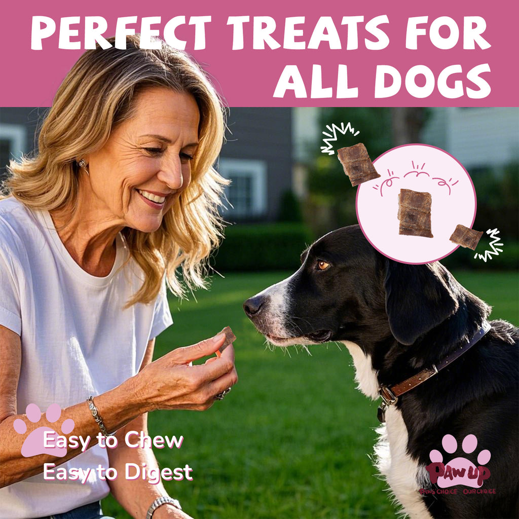 Beef Lung Dog Treats, High-Protein, Low-Fat Chews for All Dogs, 2.2 lb - Pawup