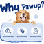 Cod Skin with Duck Dog Treats, High-Protein Omega-3 Chews for Dogs, 12.5 oz - Pawup