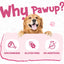 Duck Calcium Bone Dog Treats, Rawhide-Free Chews for Small Dogs, 12.5 oz - Pawup