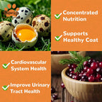 Freeze Dried Quail Egg Yolk Treats for Cats & Dogs, Coat & Urinary Health, 3.5 oz - Pawup