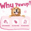 Duck Pumpkin Biscuit Stick Dog Treats, Low-Fat Chewy Snacks for Small Dogs, 12.5 oz - Pawup