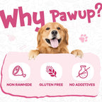 Duck Pumpkin Biscuit Stick Dog Treats, Low-Fat Chewy Snacks for Small Dogs, 12.5 oz - Pawup