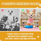Long Lasting Chicken Wrapped Rawhide Donut, 12.5 oz - Pawup