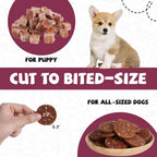 PAWUP Duck Jerky Dog Treats, Duck & Apple Sausage Slices, 12.5 oz | Taurine Added, Rawhide Free, Soft Dog Snack, For Small & Medium Dogs Training - Pawup