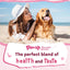 Duck Pumpkin Biscuit Stick Dog Treats, Low-Fat Chewy Snacks for Small Dogs, 12.5 oz - Pawup