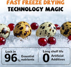Freeze Dried Quail Egg Yolk Treats for Cats & Dogs, Coat & Urinary Health, 3.5 oz - Pawup