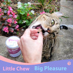 Freeze-Dried Duck Treats for Cats & Dogs, High-Protein Food Topper, 3.8 oz - Pawup