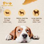 Chicken Chip Jerky Crisp Flakes For Dog Treats, 6 oz - Pawup