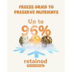 Freeze-Dried Quail Egg Yolk Treats for Dogs & Cats, Single-Ingredient Snacks - Pawup