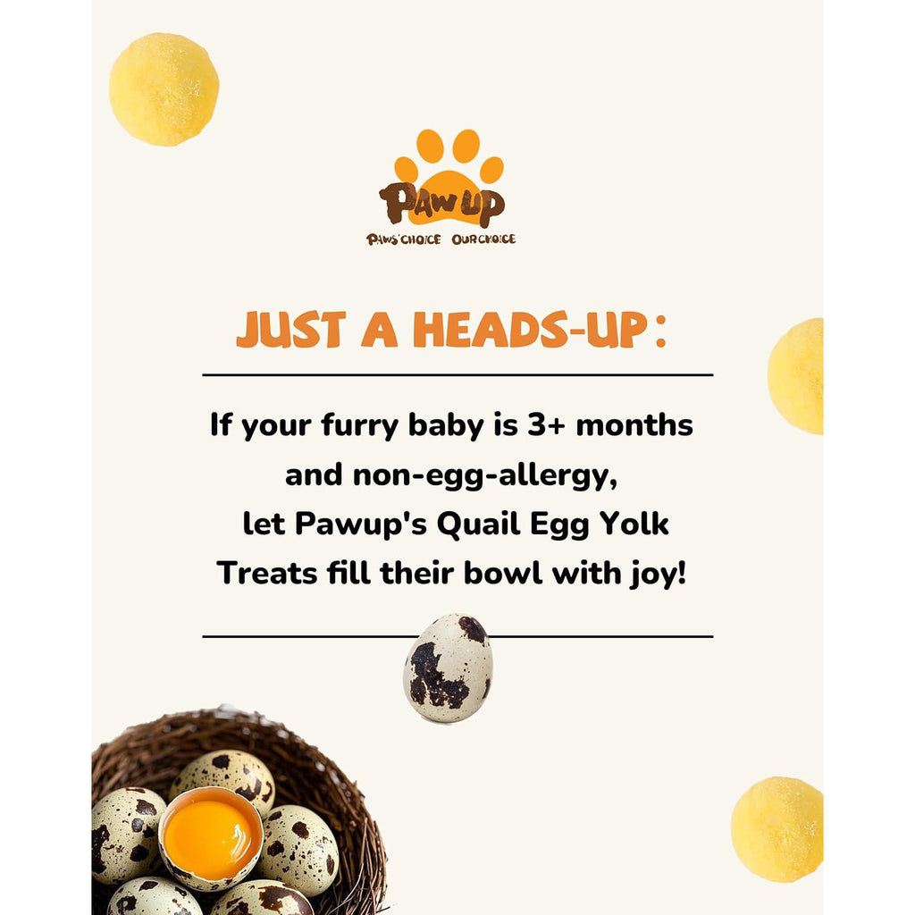 Freeze-Dried Quail Egg Yolk Treats for Dogs & Cats, Single-Ingredient Snacks - Pawup