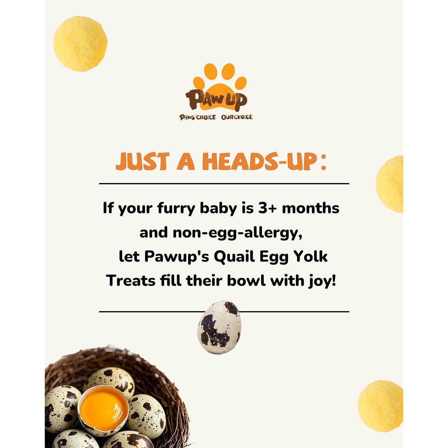 Freeze-Dried Quail Egg Yolk Treats for Dogs & Cats, Single-Ingredient Snacks - Pawup