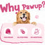 Duck Rawhide Stick Dog Treats, Long-Lasting Chews for Small Dogs, 12.5 oz - Pawup