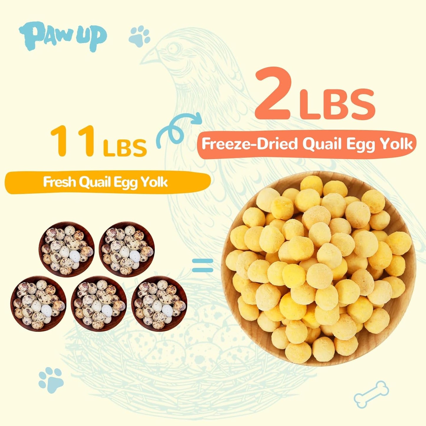 Freeze-Dried Quail Egg Yolk Treats for Dogs & Cats, Single-Ingredient Snacks - Pawup
