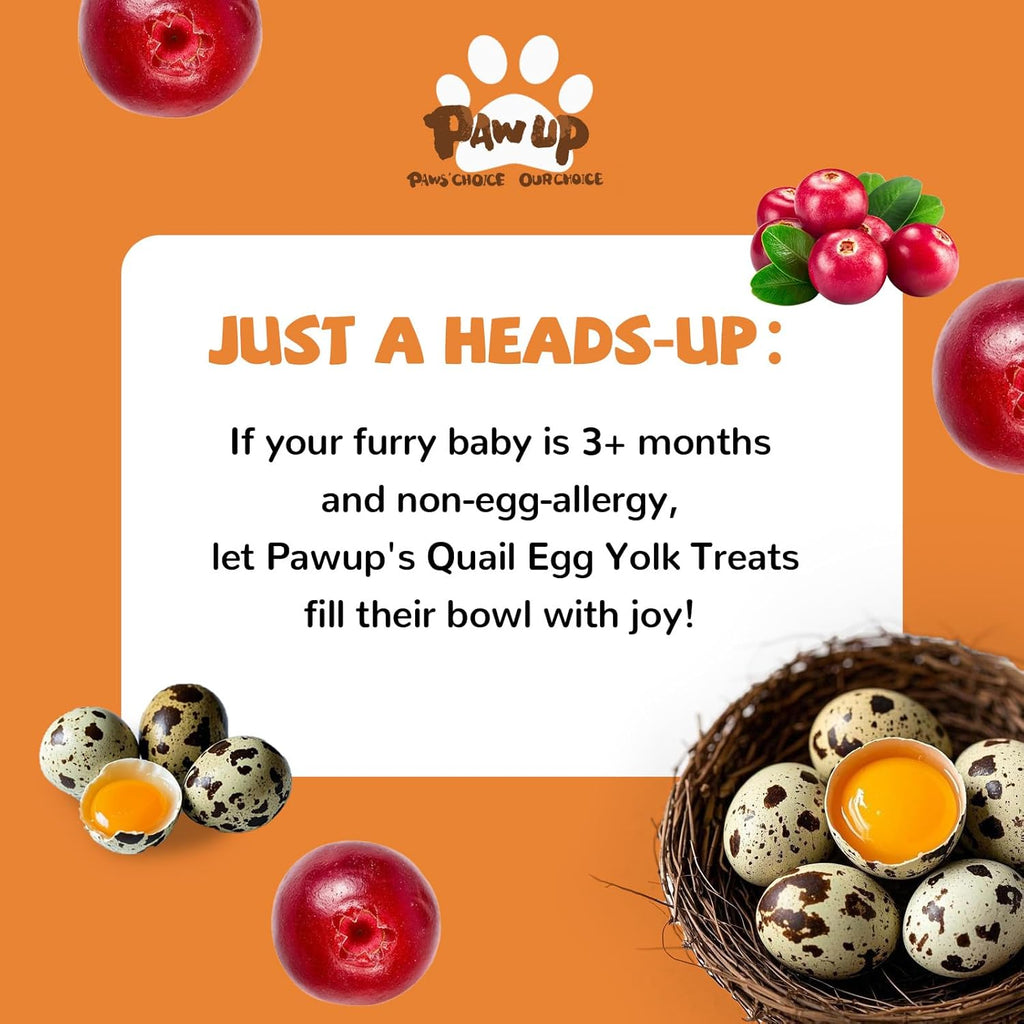 Freeze Dried Quail Egg Yolk Treats for Cats & Dogs, Coat & Urinary Health, 3.5 oz - Pawup