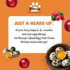 Freeze Dried Quail Egg Yolk Treats for Cats & Dogs, Coat & Urinary Health, 3.5 oz - Pawup