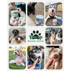 PAWUP Dog Treats, Freeze Dried Green-Lipped Mussels, Large Whole Mussels, 3.5 oz