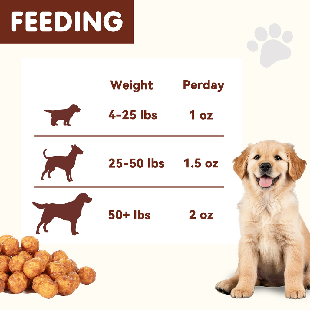PAWUP Chicken Natural Dog Treats, Popcorn-Inspired Crunchy Bites, Healthy Reward or Training Treat for Small, Medium and Large Dog, 2.5oz