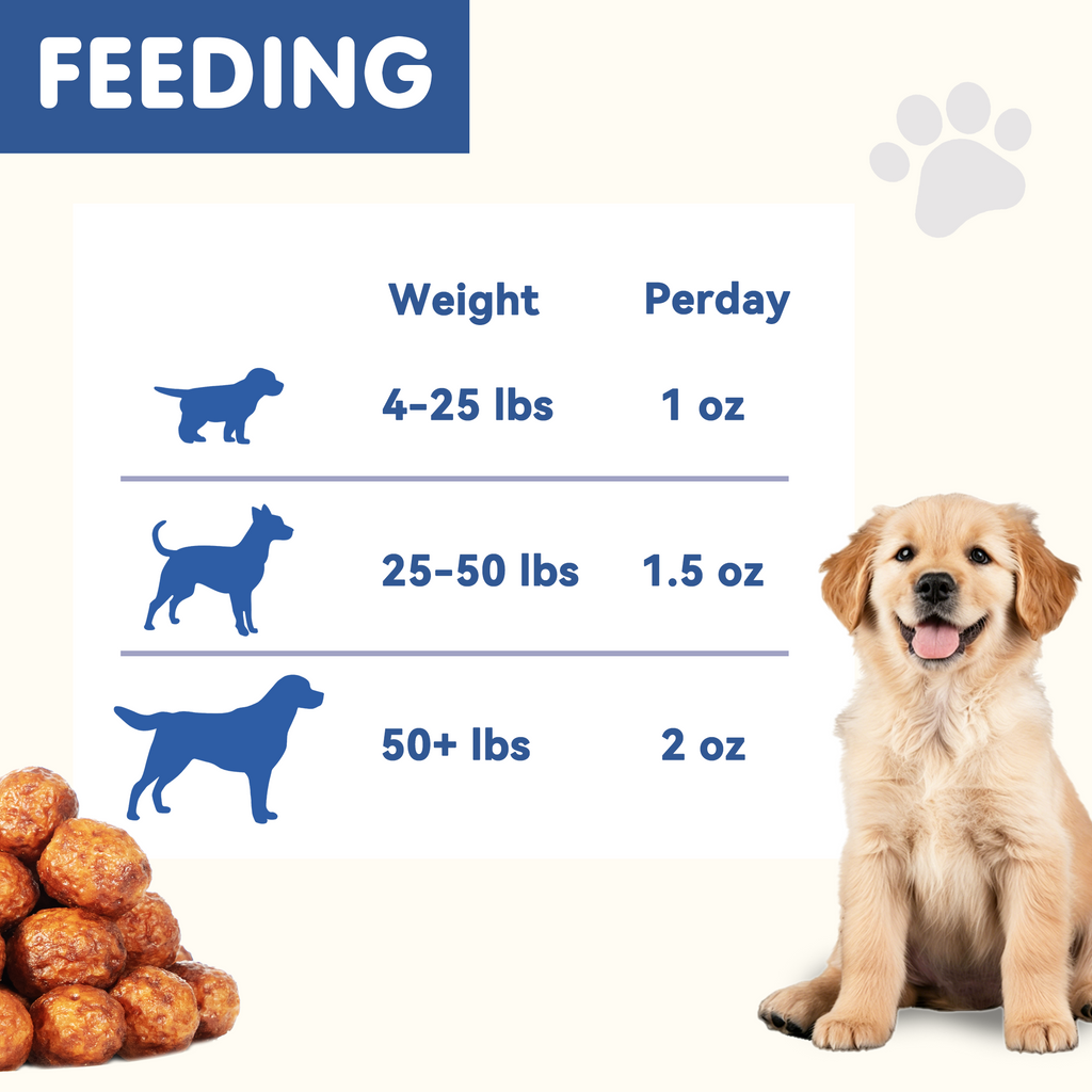 PAWUP Cod Natural Dog Treats, Popcorn-Inspired Crunchy Bites, Healthy Reward or Training Treat for Skin & Coat Health, Small Medium Large Dog, 2.5oz