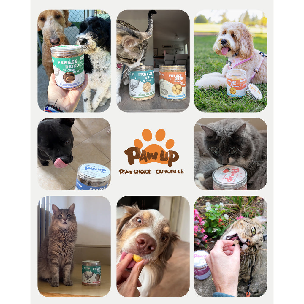 PAWUP Freeze Dried Cats & Dogs Treats, Egg Yolk, 7oz