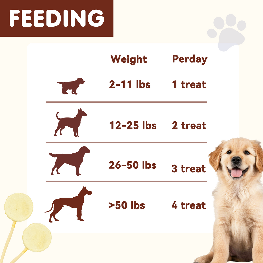 PAWUP Dog Treat Freeze-Dried Chicken & Pumpkin Lollipops with Rawhide, Dental Chew & High Protein Training Treats for Small, Medium & Large Dogs, 1.5 oz 5 Counts - Pawup