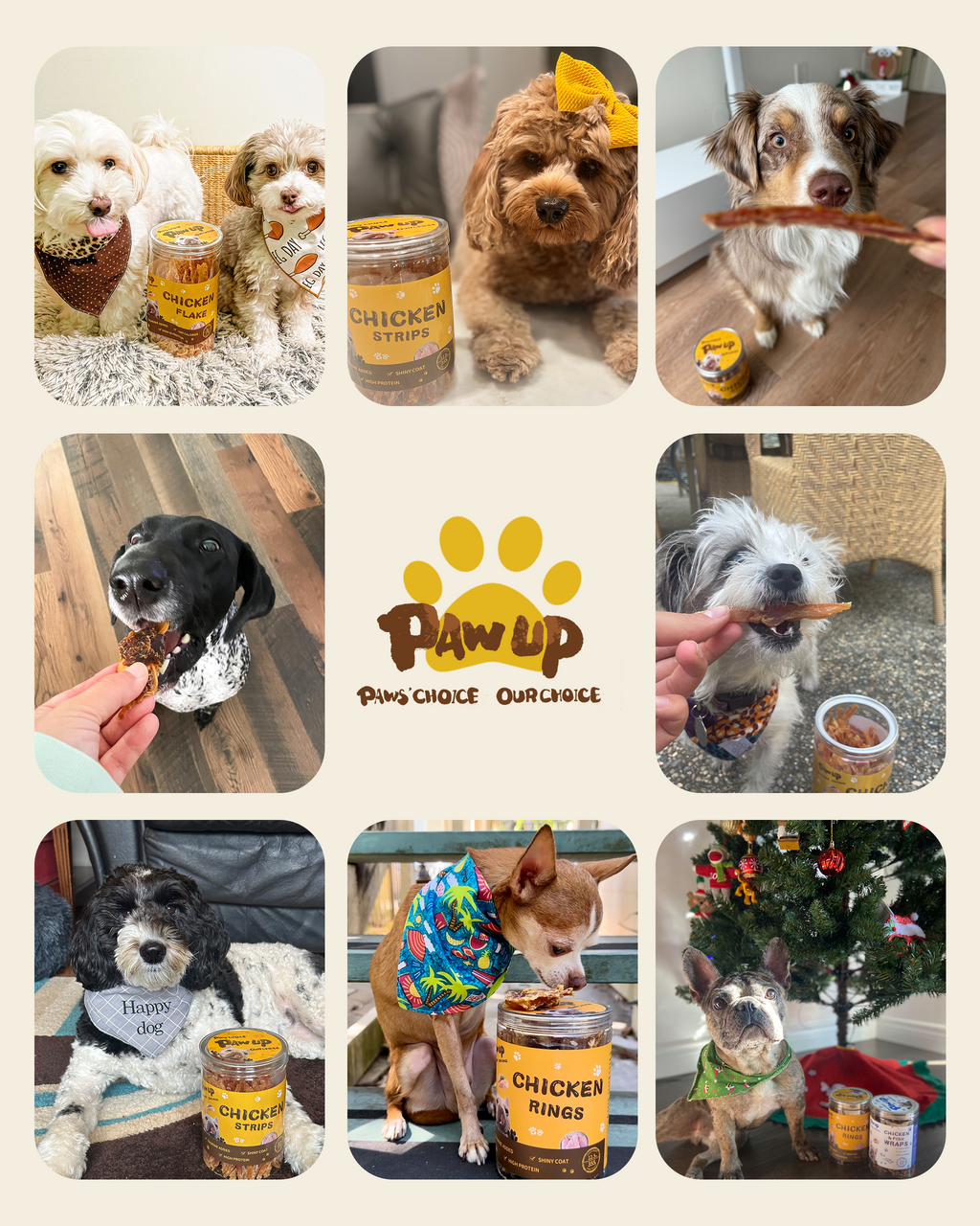PAWUP Soft Dog Treats, Chicken & Shrimp Jerky Shavings, Easy to Chew Dog Food Topper & Meal Mixer for Small & Senior Dogs, Grain Free, Taurine Added, 6.6 oz - Pawup